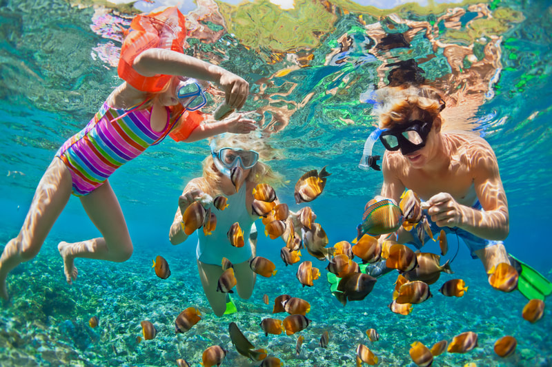 Kids snorkeling in tropical blue water